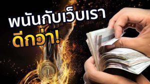 แทงไก่ชน