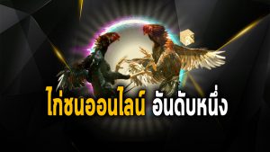แทงไก่ชน