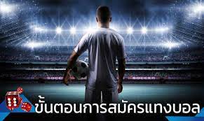 สมัครแทงบอล เว็บไหนดี